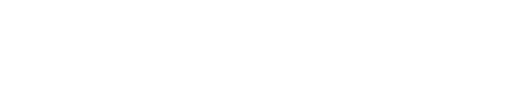 European Network for AI Safety